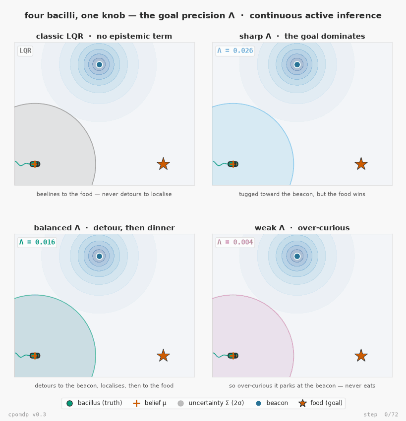 Four bacilli navigating to food under different goal precisions Λ