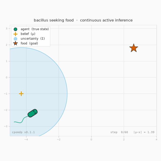 A bacillus navigating to food via continuous active inference